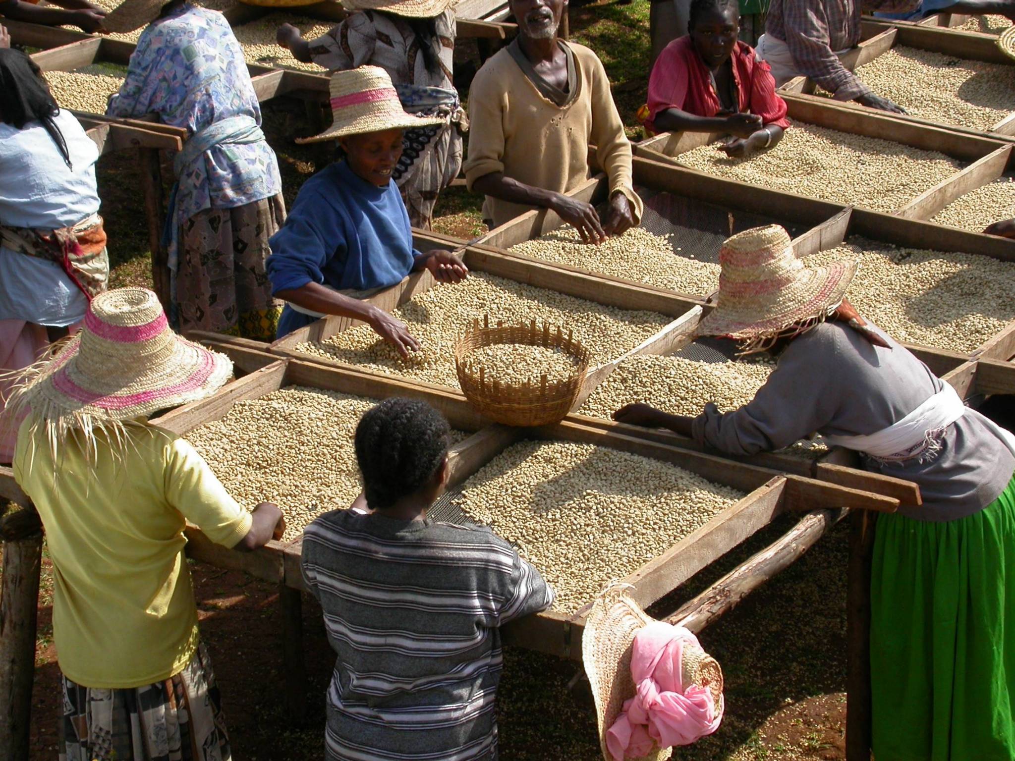 w-full h-full object-cover object-center